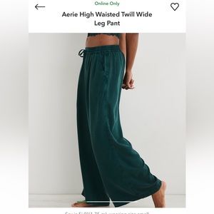 Aerie Twill Pant